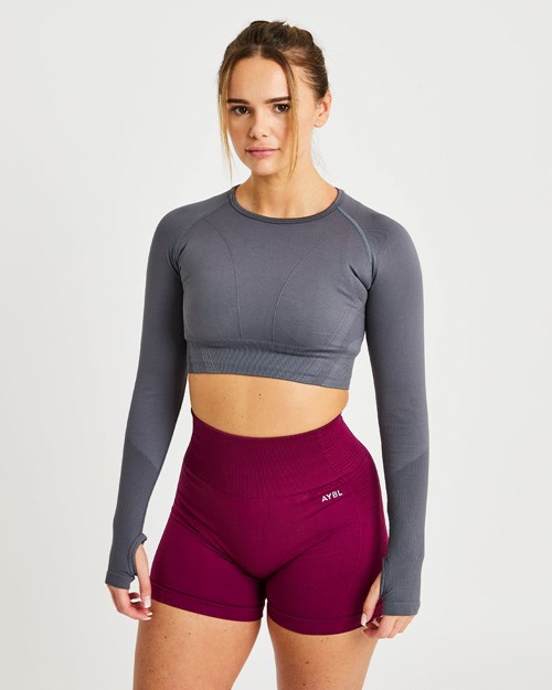 AYBL Balance V2 Seamless Long Sleeve Crop Top Grise | GOJWDPX-43