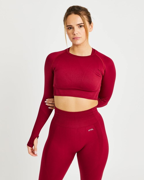 AYBL Balance V2 Seamless Long Sleeve Crop Top Rouge | MSAGPEC-42