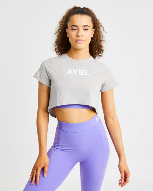 AYBL Crop T Shirt Grise | YSMOJRB-73