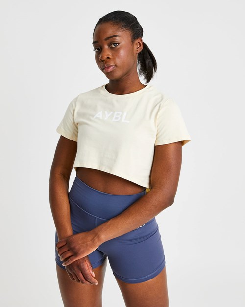 AYBL Crop T Shirt Nude | GOZJHWK-14