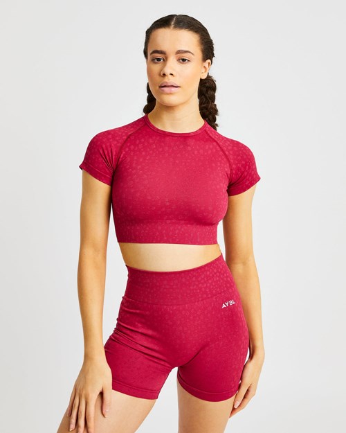 AYBL Evolve Speckle Seamless Crop Top Raspberry | UFWKDEN-25