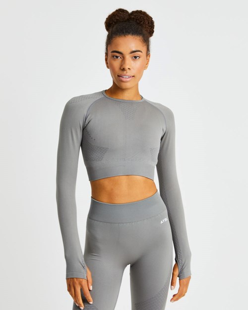 AYBL Ignite Seamless Long Sleeve Crop Top Grise | EUVDZNQ-76