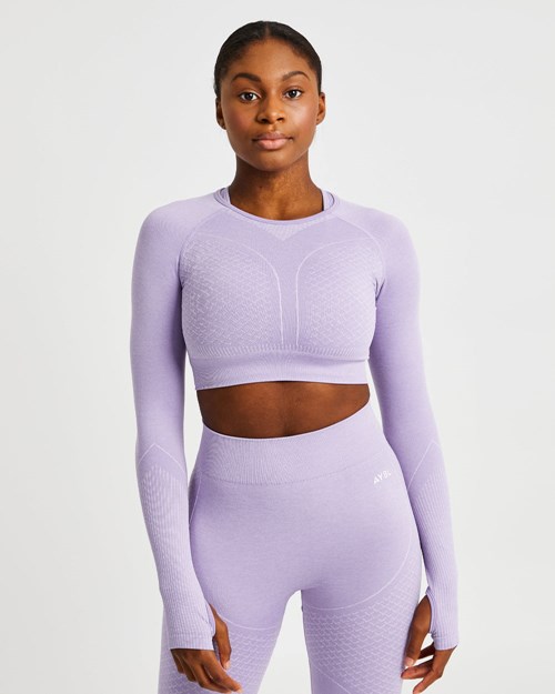 AYBL Impact Seamless Long Sleeve Crop Top Lilac | ANSYUEB-19