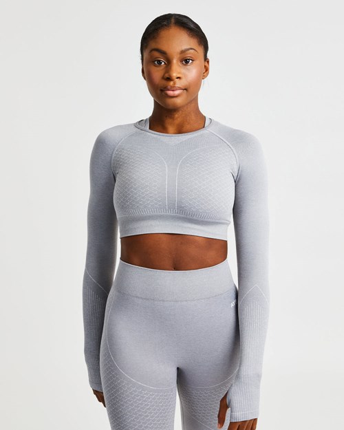 AYBL Impact Seamless Long Sleeve Crop Top Grise | UEPXRFI-71