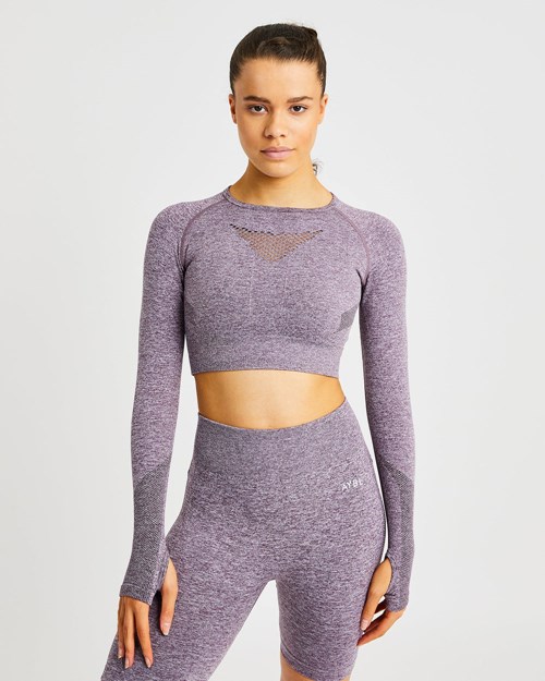 AYBL Motion Seamless Long Sleeve Crop Top Violette | QWPJSIM-07