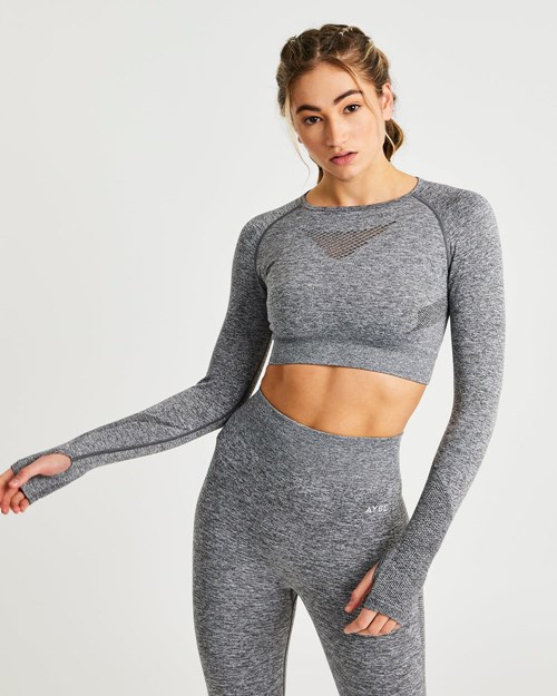 AYBL Motion Seamless Long Sleeve Crop Top Grise | RLJBGNK-89