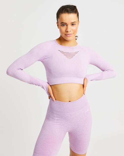 AYBL Motion Seamless Long Sleeve Crop Top Rose | RPSBEYA-85