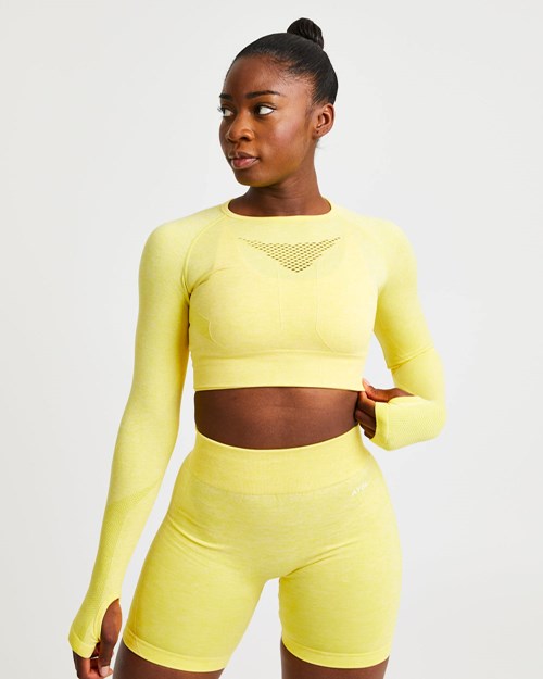 AYBL Motion Seamless Long Sleeve Crop Top Jaune | UODIHVK-67