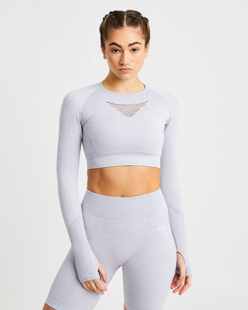 AYBL Motion Seamless Long Sleeve Crop Top Grise Clair | VKZNPSY-41