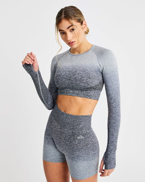 AYBL Pulse Ombré Seamless Long Sleeve Crop Top Grise | LDTGRHN-05