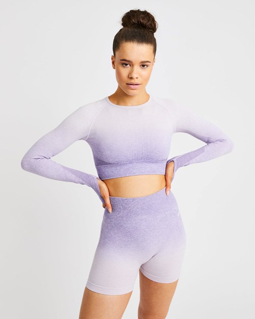 AYBL Pulse Ombré Seamless Long Sleeve Crop Top Lilac | RTHIXGF-36