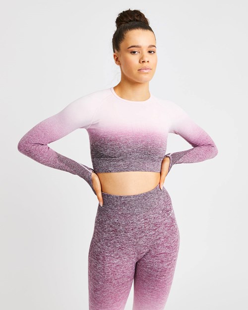 AYBL Pulse Ombré Seamless Long Sleeve Crop Top Plum | XVPBONR-02