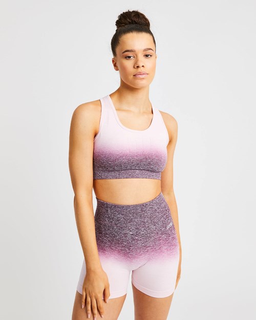 AYBL Pulse Ombré Seamless Sports Bra Plum | WNRKGHS-09