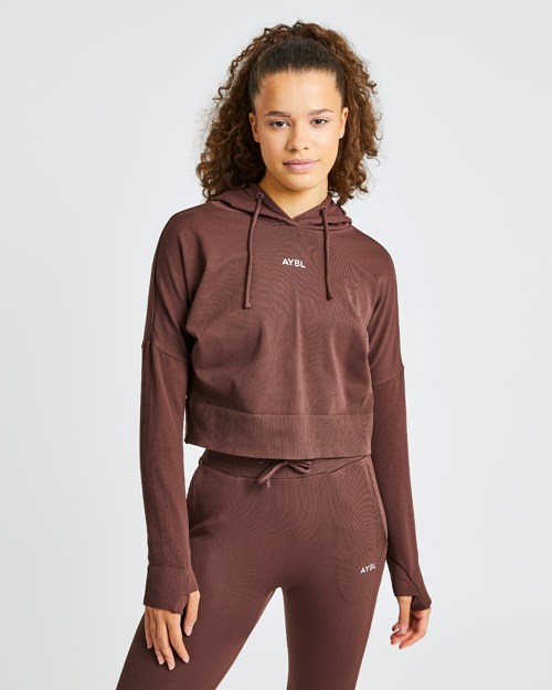 AYBL Recovery Hoodie Chocolat Marron | URWBJMT-89