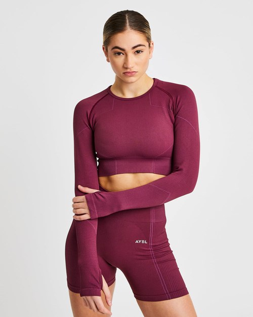 AYBL Reflex Seamless Long Sleeve Crop Top Plum | ITFSQAE-58