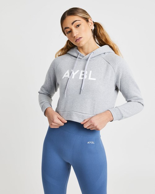 AYBL Staple Crop Hoodie Grise Clair | BQPSECA-85