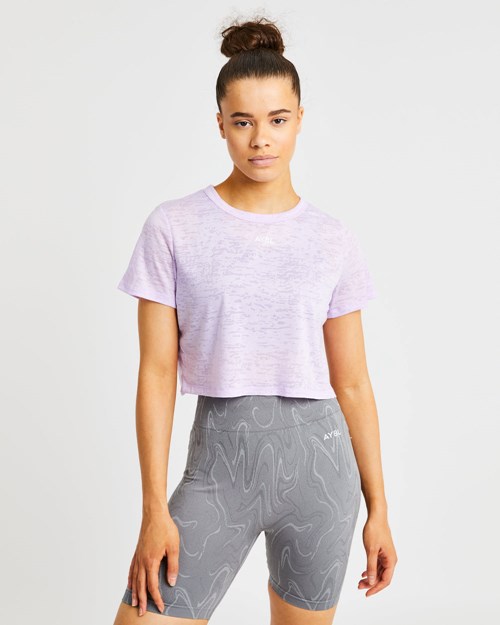 AYBL Velocity Crop T Shirt Lilac | CTHJAOP-12